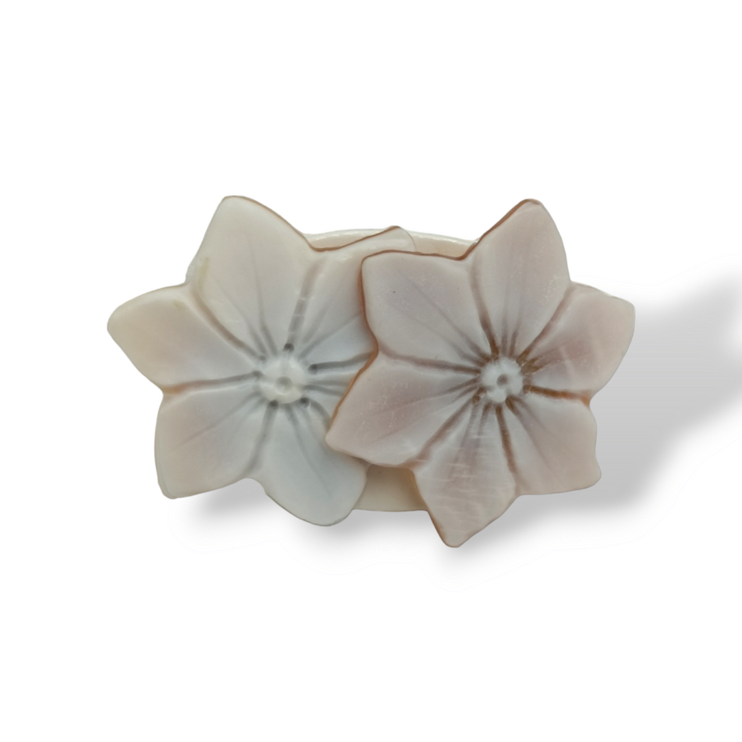 END OF COLLECTION - Cameo flower earrings mounted on silver