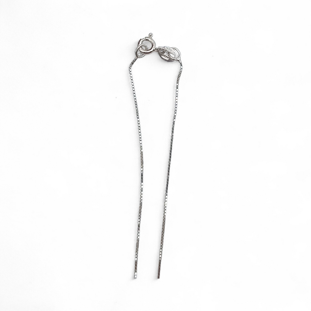 Lucky shell pendant mounted on silver