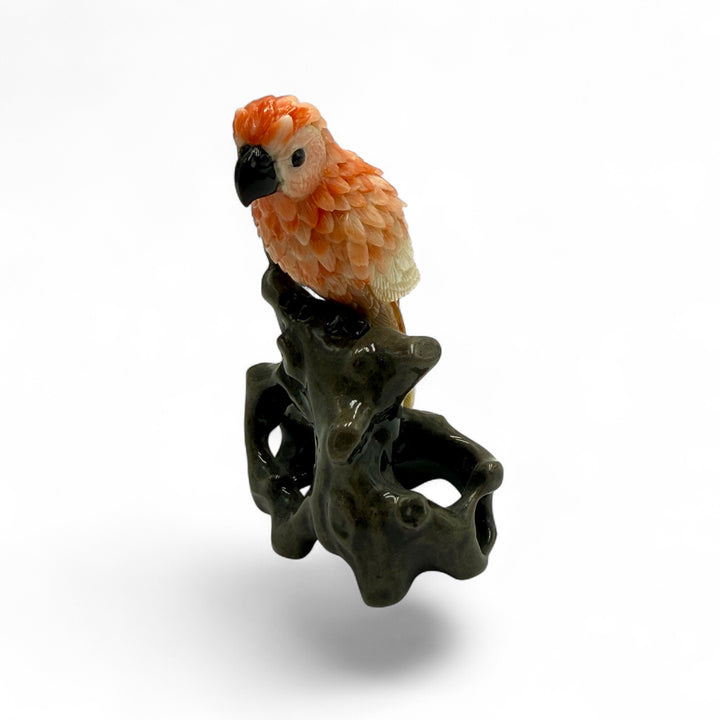 Table decoration - coral parrot