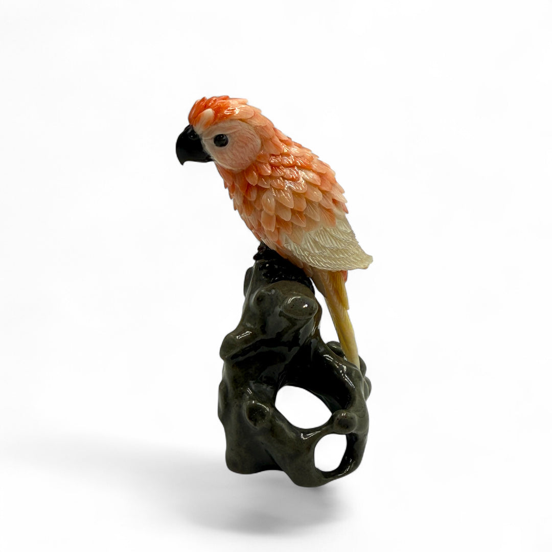 Table decoration - coral parrot