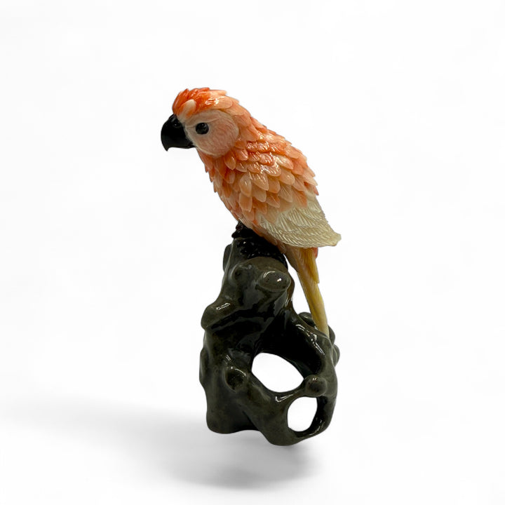 Table decoration - coral parrot