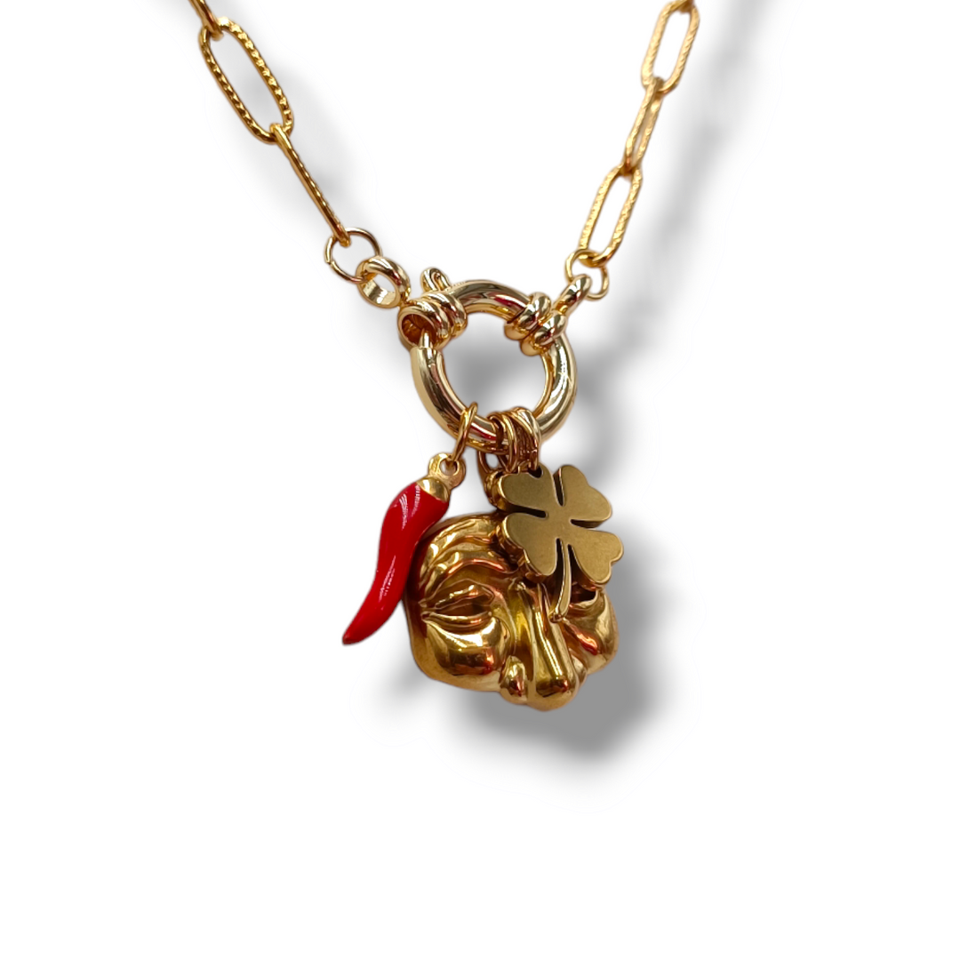 END OF COLLECTION - Lucky charm necklace in steel