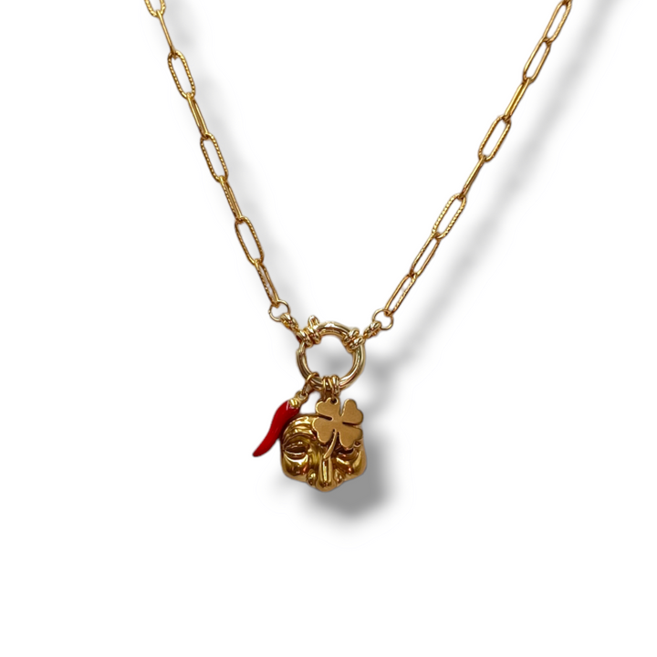 END OF COLLECTION - Lucky charm necklace in steel