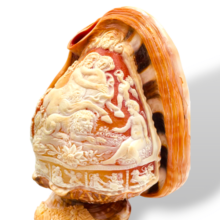 Conchiglia ornamentale incisa su cammeo
