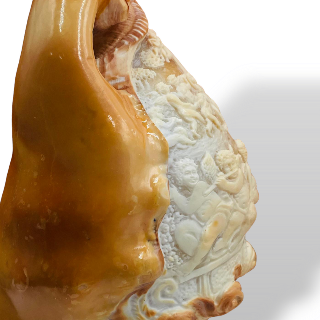 Conchiglia ornamentale incisa su cammeo