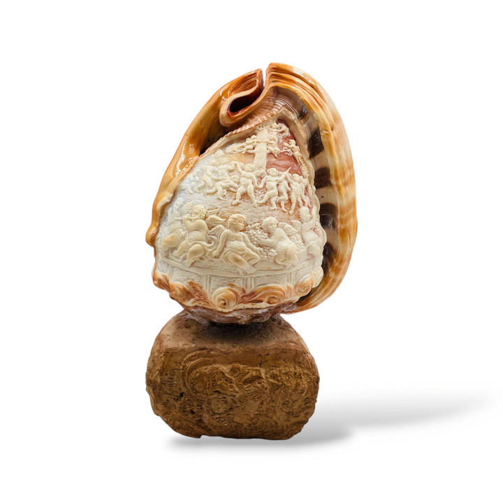 Conchiglia ornamentale incisa su cammeo