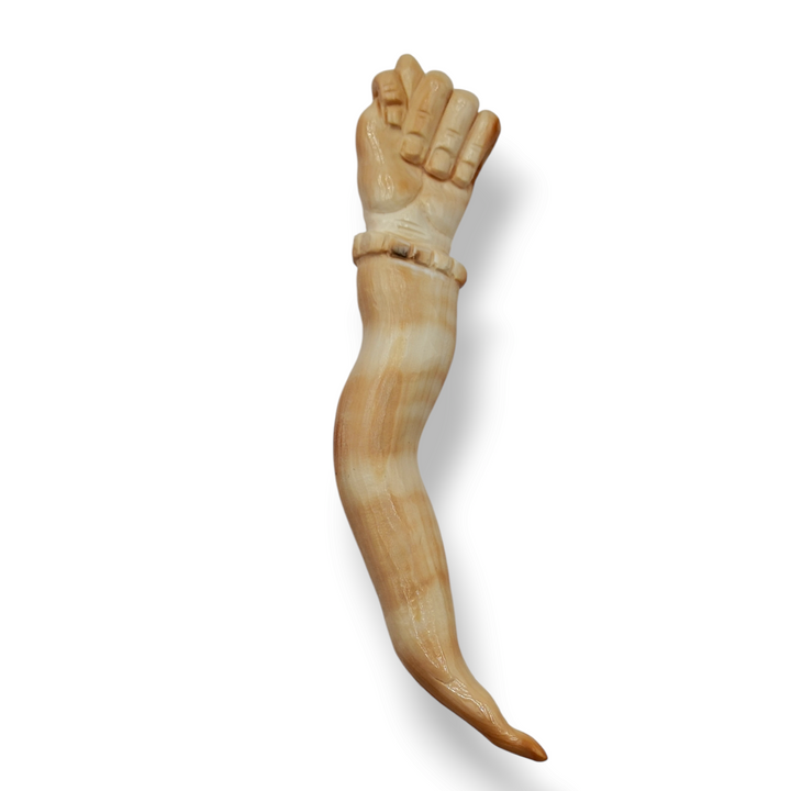 FERMACARTE "CORNO" IN CAMMEO CORNIOLA