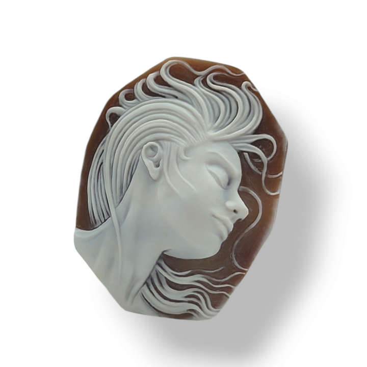 "Rebel Goddess" pendant necklace in sardonyx shell mounted in silver