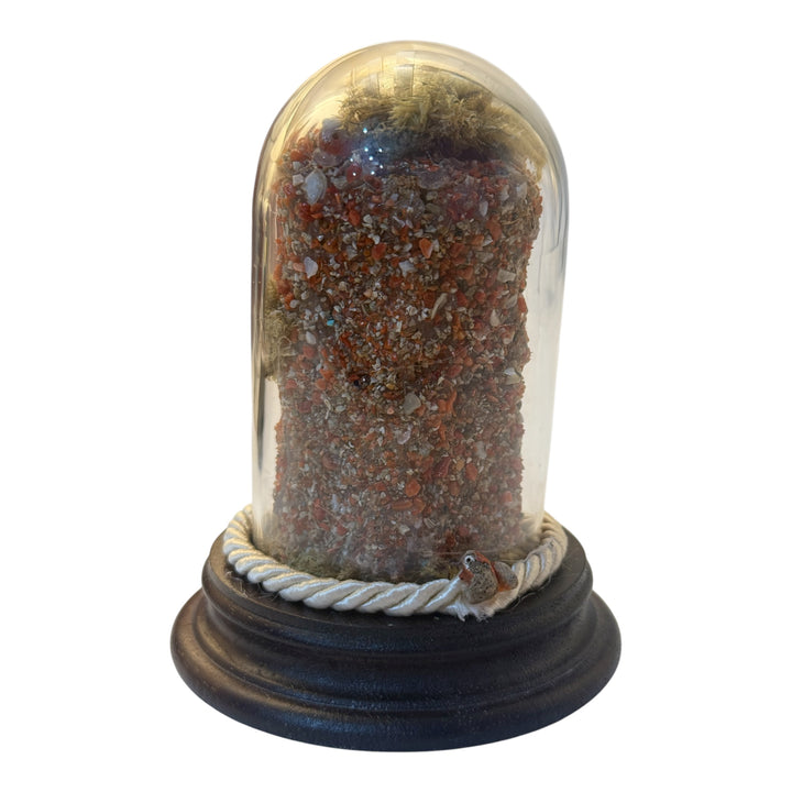 Presepe di Corallo con Cupola di Vetro e Base in Legno