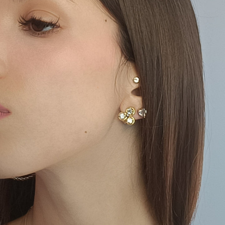 Aquamarine earrings mounted on silver