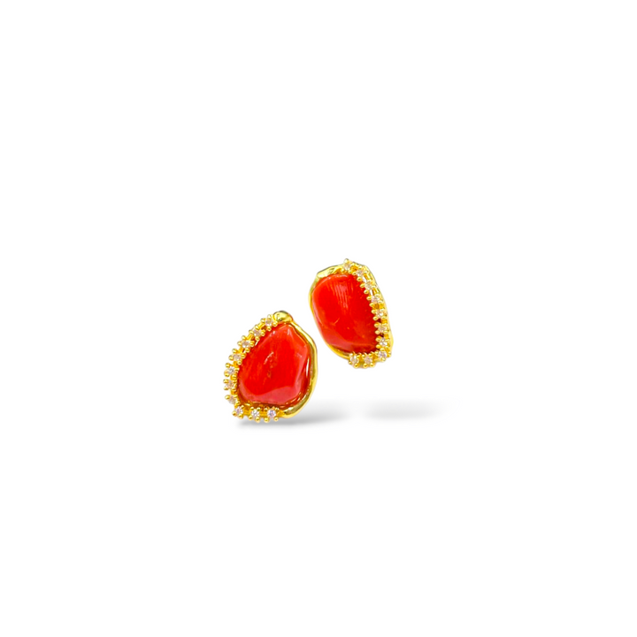 Coral stone earrings set in silver